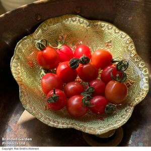 Tomato 'Umamini' F1 - Seeds